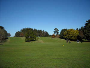DSCN8002