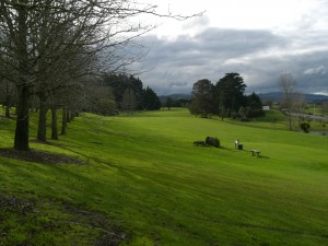 Looking down the 7th fairway